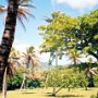Avarua, Rarotonga, Cook Islands